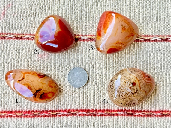 Carnelian Agate with Exquisite Patterning, Your Choice of 4 Stones, Stimulating Energy and Self-Empowerment, Sacral Chakra, Madagascar P317