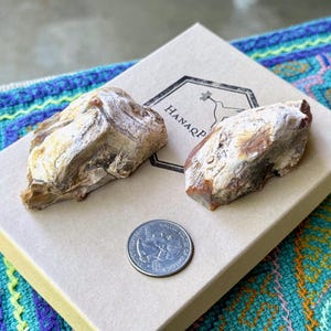 May include: Two pieces of rough, white and brown agate with a brown and white banded pattern. The agate is displayed on a beige box with the text "HANAQP" printed on it. A US quarter is included for scale.