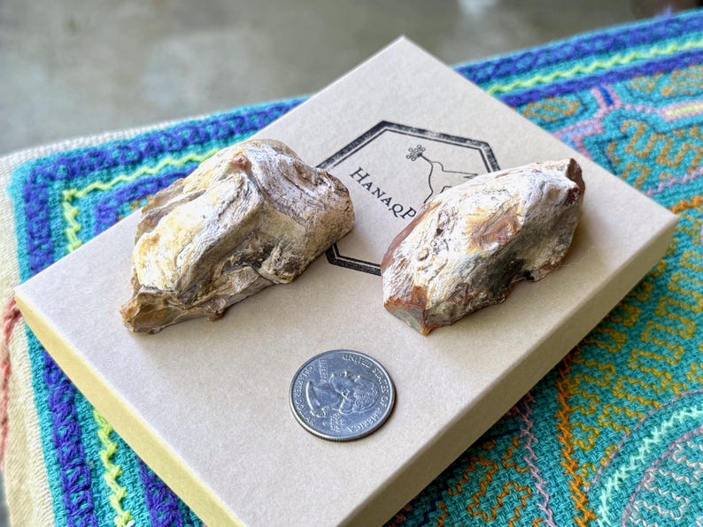 May include: Two pieces of rough, white and brown agate with a brown and white banded pattern. The agate is displayed on a beige box with the text "HANAQP" printed on it. A US quarter is included for scale.
