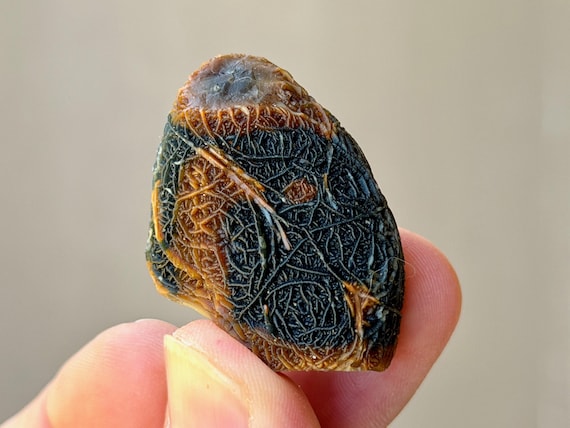 Black Mountain Gobi Agate, 25g, Naturally Formed, Earth & Water Energies, China B542