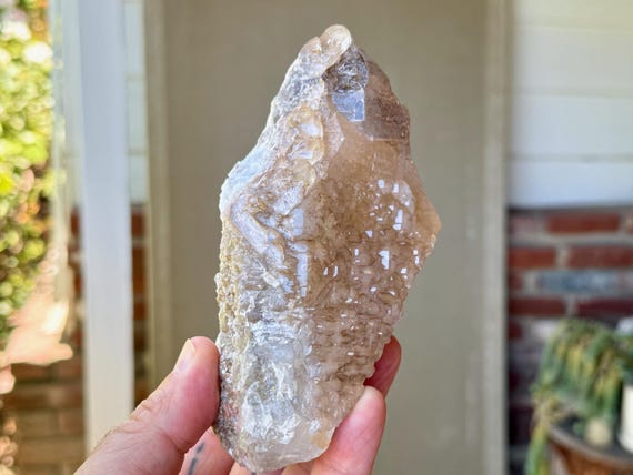 Elestial Smoky Quartz, Self-Standing, Jacare Quartz, 780g, Root Chakra, Manifestation & Protection, Minas Gerais, Brazil X195