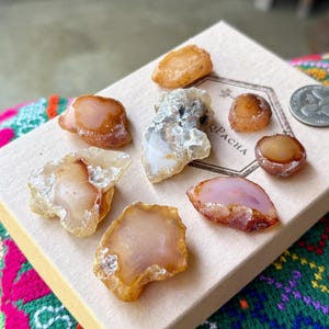 May include: A collection of polished agate stones in shades of orange, brown, and white, displayed on a light-colored box. The stones vary in size and shape, with a few translucent pieces. A US quarter coin is visible.
