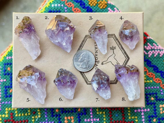 Amethyst with Goethite Inclusion, Root Formation, Choose ONE of Eight,  Spiritual Purification, Rio Grande do Sul, Brazil B127
