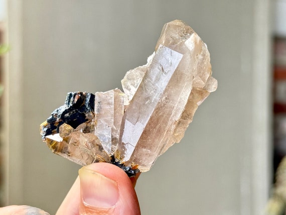 Golden Rutile Smoky Quartz in a Unique Formation, 66g, Conductor Amplifier Crystal, Novo Horizonte, Bahia, Brazil P845