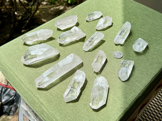 Starbrary Quartz Wholesale Lot, 14 Pieces (1 Kilo) of AAA Hand-Selected Water Clear Quartz with Extraterrestrial Star Markings, Brazil WS162