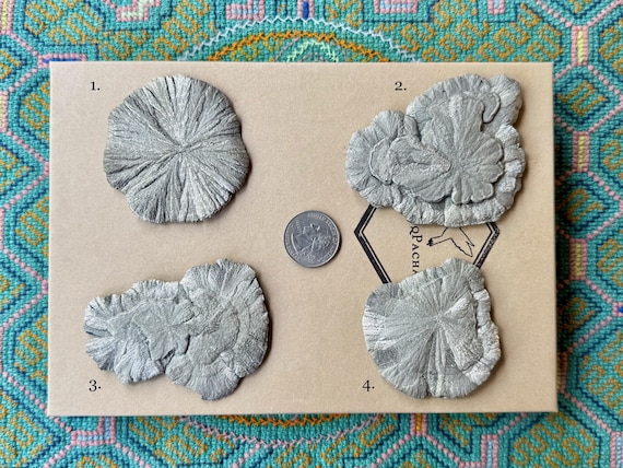 Pyrite Sun Discs, Natural Radial Growth, Choose ONE of Four, Pyrite Concretions, Sparta, Illinois, USA S658