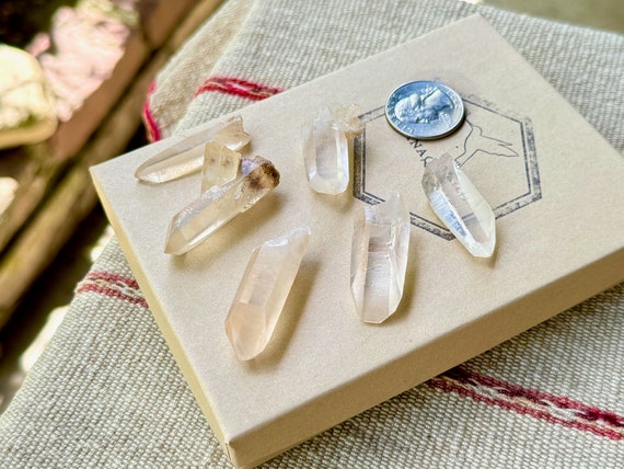 Golden Healer Lemurian Quartz Lot, 6 Pieces, New Find, Crown Chakra Crystals, Serra do Cabral, Minas Gerais, Brazil P942