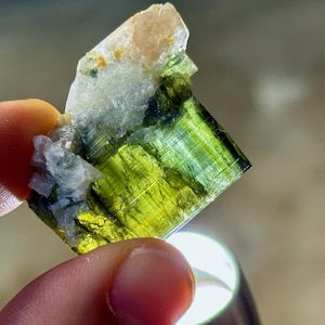 May include: A vivid green tourmaline crystal, displaying a translucent, striated texture. The gemstone is held between fingers, highlighting its natural, raw form. The top section features a lighter, beige-coloured mineral. The crystal is illuminated by a light source.