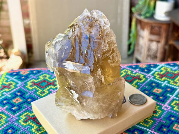 Elestial Citrine, Cruzeiro Mine, Sceptered Growth & Self-Standing, 1.3 Kilo, Old Find, Minas Gerais, Brazil V356
