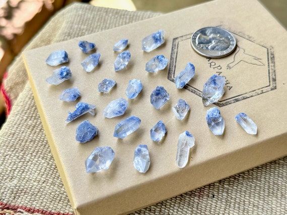 Dumortierite Quartz Crystal Lot, 25 Pieces (17g), New Find, Vibrant Blue Inclusions, Third Eye Chakra and Throat Chakra, Bahia, Brazil P946
