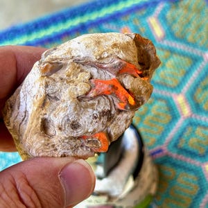 May include: A close-up of a white and brown rock with orange and red veins. The rock is being held in a hand.