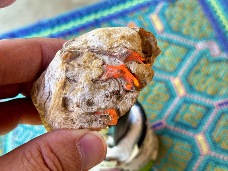 May include: A close-up of a white and brown rock with orange and red veins. The rock is being held in a hand.