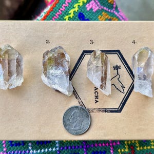 May include: Four raw, clear quartz crystal points with a light brown hue are displayed on a cardboard surface. A US quarter coin is next to the crystals for size comparison. The word "ACHA" is printed on the cardboard.