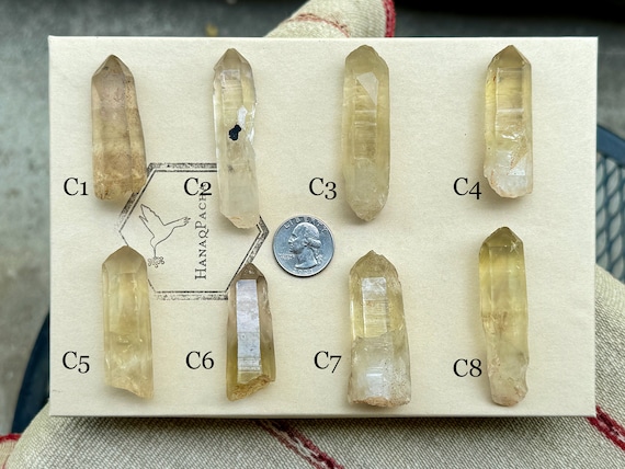 Brazilian Citrine, Choose One of Eight, Natural Citrine Points with Brilliant Yellow Hues, Minas Gerais, Brazil R124