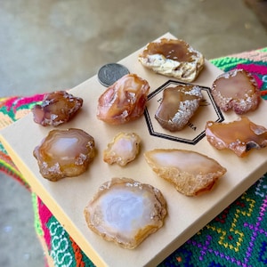May include: A collection of ten polished, translucent agate slices in shades of amber, tan, and milky white arranged on a square cardboard box. A silver-colored coin is placed near the top left for scale, and a black hexagonal logo is printed on the box.