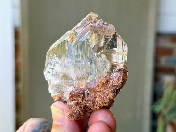 Bermejillo Selenite, Water Clear, 74g, Purification & Energetic Cleansing, Durango, Mexico B071