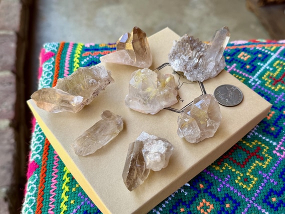 Golden Rutile Smoky Quartz Lot, 7 pcs (276g), Conduct & Amplify Energy, Bahia, Brazil WS266
