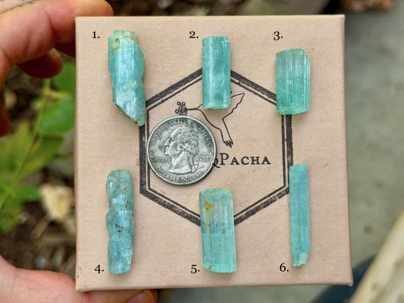 Emerald, Vanadium Beryl, Natural Raw & Unpolished, Choose ONE of Six, Abundance and Heart Healing, Nigeria A972