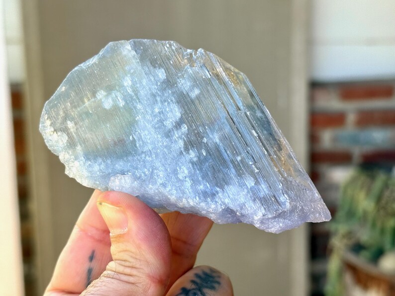 May include: A translucent, light blue selenite crystal formation. The crystal has a layered appearance with visible striations and a slightly rough texture. The overall shape is irregular, with a natural, unpolished look. The crystal is held in a hand.