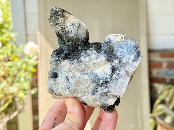 Dravite Quartz, Self-Standing Crystal with Gem Brown Tourmaline, 547g, Root Chakra, Shadow Work, Piaui, Brazil W283