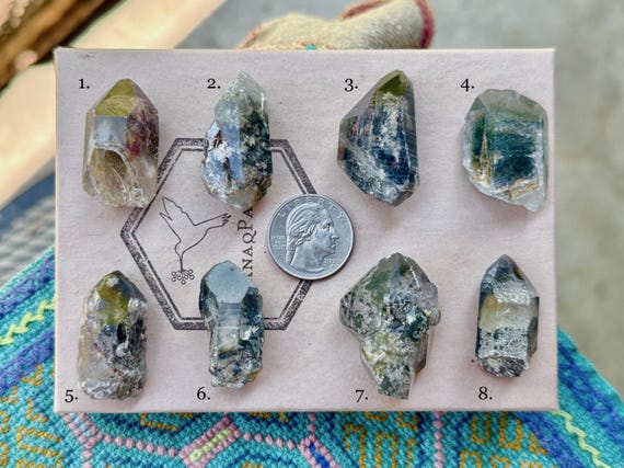 Shaman's Dream Quartz, Green Chlorite Inclusions, Choose One of Eight, Nature Spirits & Heart Healing, Gouveia, Minas Gerais, Brazil T599