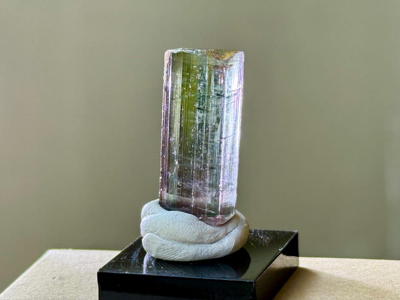 May include: A multi-colored tourmaline crystal, primarily green and pink, is displayed on a white, sculpted base. The crystal is mounted on a black, rectangular stand. The background is a neutral, light-colored wall.