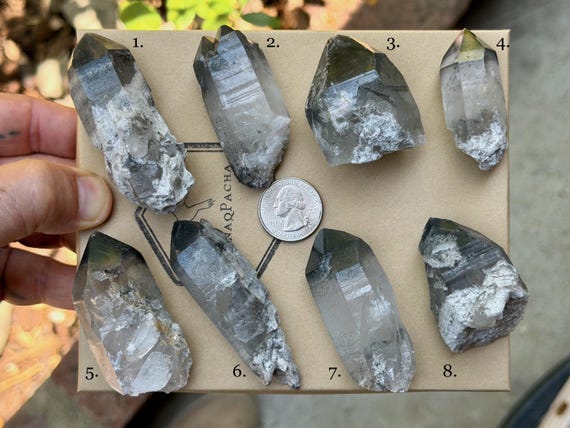 Black Phantom Lemurian Quartz, Choose ONE of Eight, Detoxification & Purification, Bahia, Brazil B126