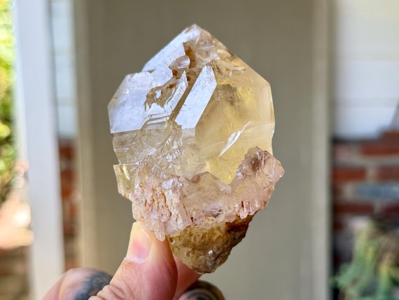 Citrine & Canga Rose Quartz, Sceptered Growth, 312g, Crystallized Rose Quartz, Heart Chakra, Taquaral, Brazil W760