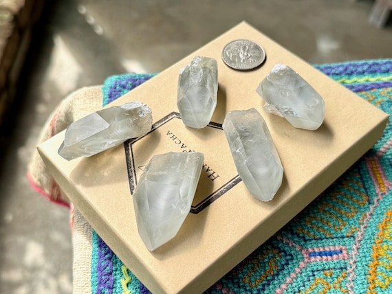 White Phantom Smoky Quartz Lot, 5 Pieces, Crystals with Kaolinite Inclusion for Detoxification & Purification, Minas Gerais, Brazil S449