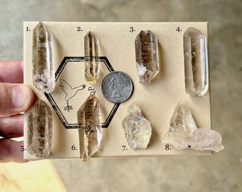Golden Rutile Quartz, Choose ONE of Eight, Crystals for Conducting & Amplifying Energy, Novo Horizonte, Bahia, Brazil S216