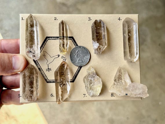 Golden Rutile Quartz, Choose ONE of Eight, Crystals for Conducting & Amplifying Energy, Novo Horizonte, Bahia, Brazil S216