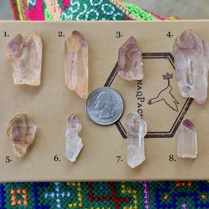 May include: Eight raw, translucent quartz crystals with light purple and amber hues arranged on a tan cardboard display card. A US quarter coin is placed in the center for scale. Each crystal is numbered from one to eight, with a hummingbird logo.