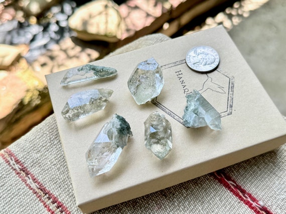 Himalayan Quartz Crystal Lot with Green Chlorite, 6 Pieces, New Find, Water Clear High Altitude Quartz, Purification, India P960