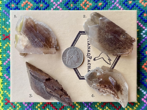 Phantom Selenite, Goethite Inclusion, Choose ONE of Four, La Platosa Mine, Bermejillo, Durango, Mexico A621