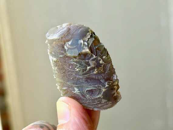 Black Mountain Gobi Agate, Agatized Fossil Coral, 44g, Naturally Formed, Earth & Water Energies, China T922