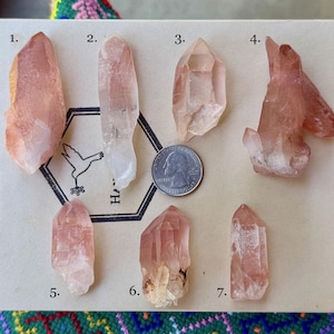 Scarlet temple lemurian - Etsy 日本