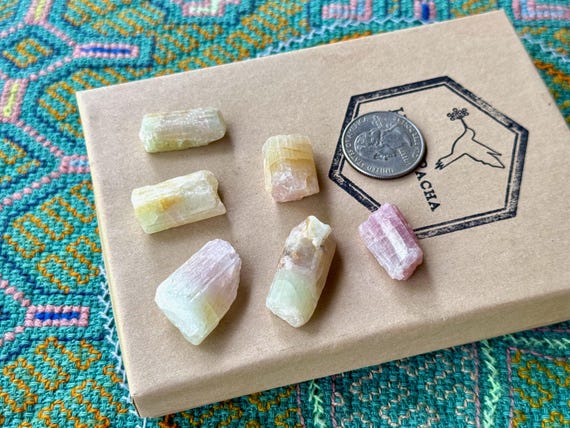 Watermelon Tourmaline Lot, 6 Pieces, Bicolor Pink and Green Tourmaline with Pastel Hues, Arqueana Mine, Minas Gerais, Brazil S629