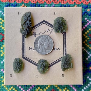 May include: Five raw, olive-green moldavite stones are displayed on a cardboard surface with a coin for size comparison. The stones have a rough, textured appearance. The cardboard has a logo with the word "HA" and a bird design.