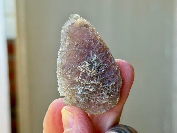 Black Mountain Gobi Agate, Agatized Fossil Coral, 30g, Naturally Formed, Earth & Water Energies, China A094