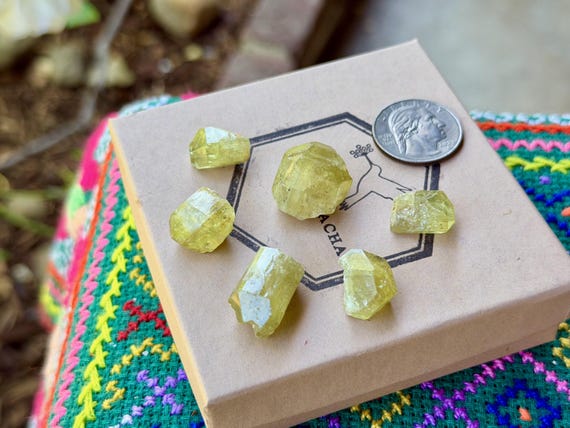 Golden Apatite Lot, 6 pcs, Natural & Terminated, Solar Plexus and Sacral Chakra Crystal, Morocco A765