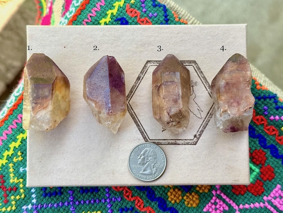 Dreamcoat Lemurian, Choose ONE of Four, Golden Healer Lemurian with Amethyst Cap, Crown & Third Eye Chakra, Goias, Brazil T678