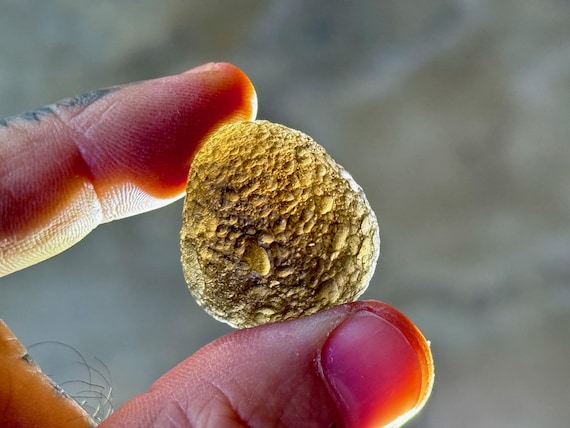 Colombianite, 14.7g, Natural Pseudotektite, Museum Grade Quality, Spiritual Awakening, Valle del Cauca, Colombia A223