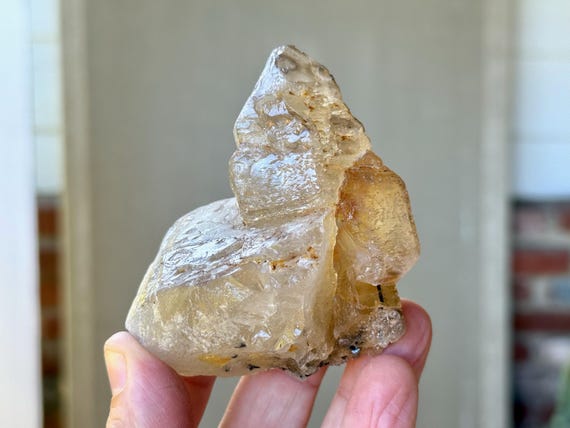 Elestial Jacare Citrine, Black Tourmaline Inclusion, 242g, New Find, Aracuai, Minas Gerais, Brazil V128