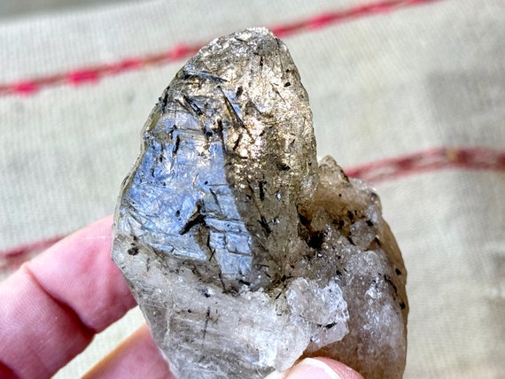 Black Tourmaline Quartz, Water Clear and Lustrous, 195g, Highest Quality, Aracuai, Minas Gerais, Brazil W120