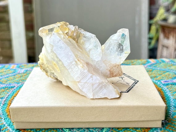 Golden Healer Himalayan Quartz, 292g, High Altitude Samadhi Crystal for Crown Chakra Activation, Himal Pradesh, India W559