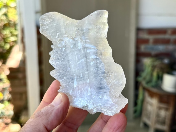 Fishtail Selenite, Natural Angel Wing Formation, 228g, Purification & Energetic Cleansing, Mexico A687