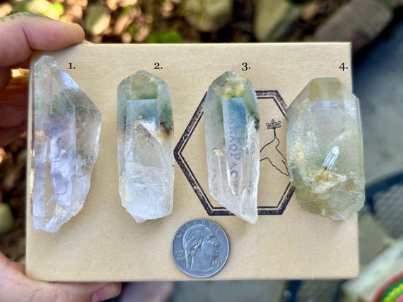 Green Chlorite Phantom Quartz, Choose ONE of Four, Heart Chakra, Nature Spirits, Minas Gerais, Brazil T867