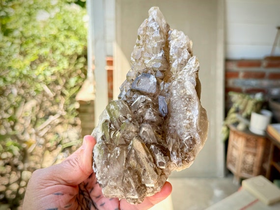 Elestial Smoky Quartz, Angel Wing Formation,  934g, Old Find, Root Chakra Crystal for Manifestation, Aracuai, Brazil W321
