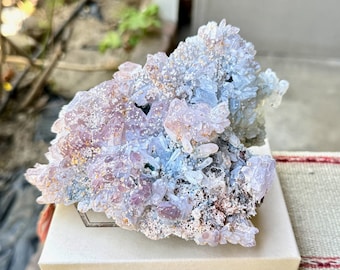 ペレズドリームレムリアン　シトリン　スモーキー　モリオン　スターブラリー ペレの夢のレムリアンシトリン、カスタムスタンド付き、290g、希少品