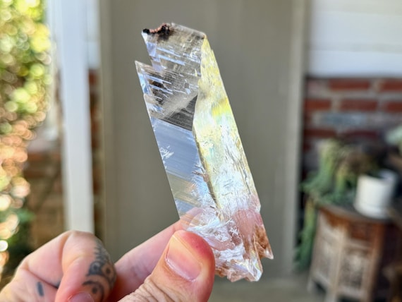 Bermejillo Selenite, Water Clear, 114g, Purification & Energetic Cleansing, Durango, Mexico V433